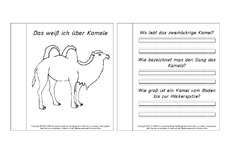 Mini-Buch-für-Lapbook-Fragen-Kamel.pdf